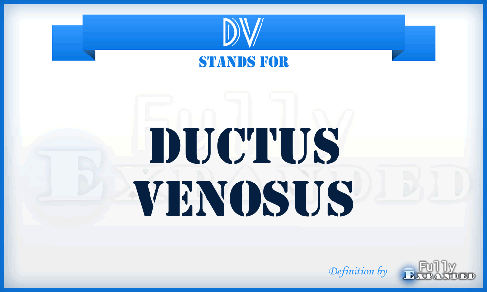 DV - ductus venosus