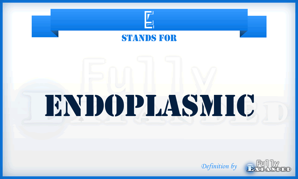 E - endoplasmic