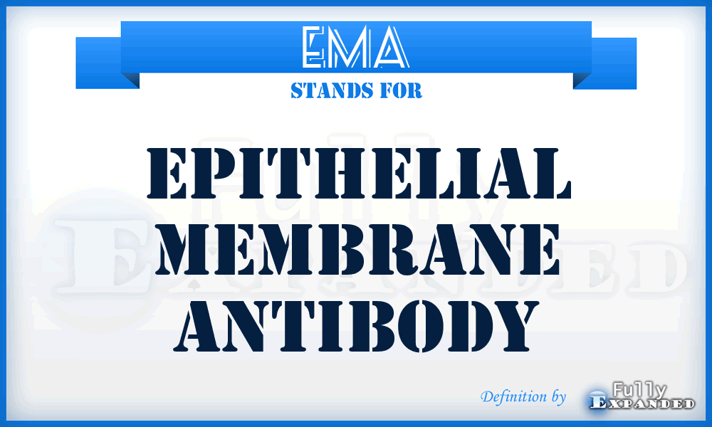 EMA - Epithelial Membrane Antibody