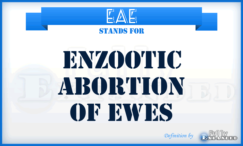 EAE - Enzootic Abortion of Ewes