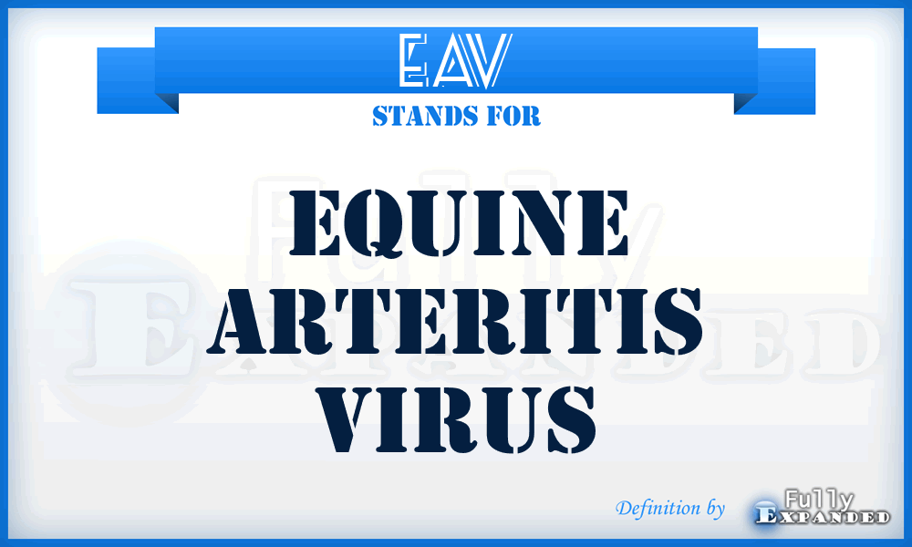 EAV - Equine Arteritis Virus