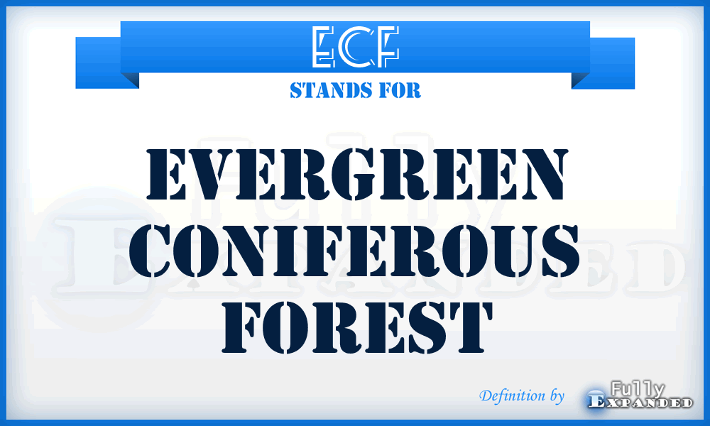 ECF - Evergreen Coniferous Forest