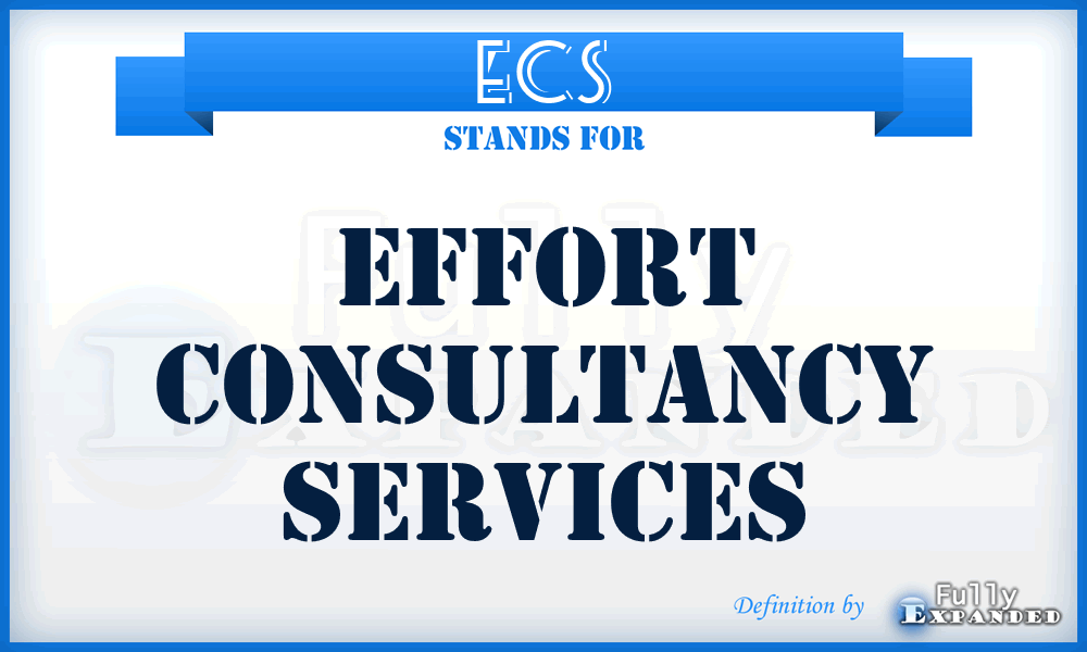 ECS - Effort Consultancy Services