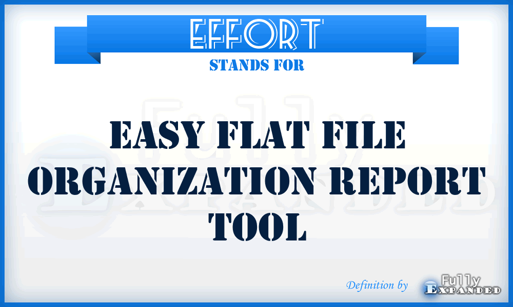 EFFORT - Easy Flat File Organization Report Tool