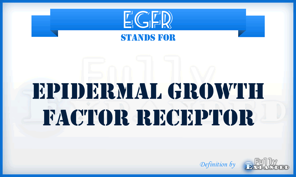 EGFR - epidermal growth factor receptor