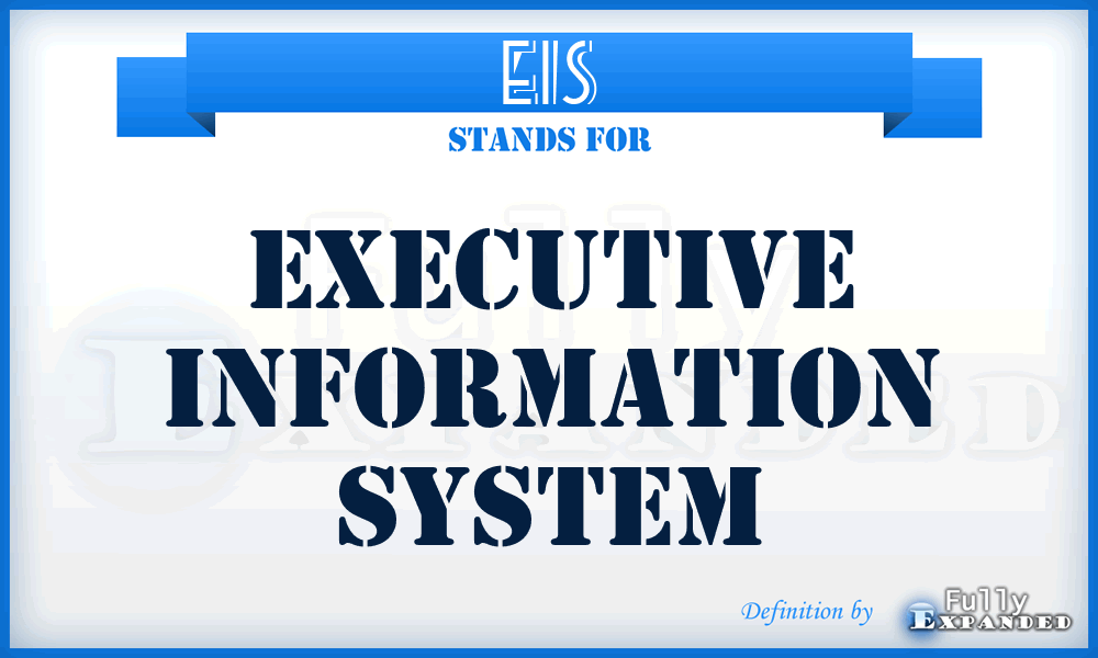 EIS - executive information system