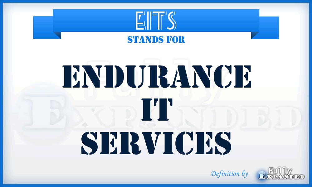 EITS - Endurance IT Services