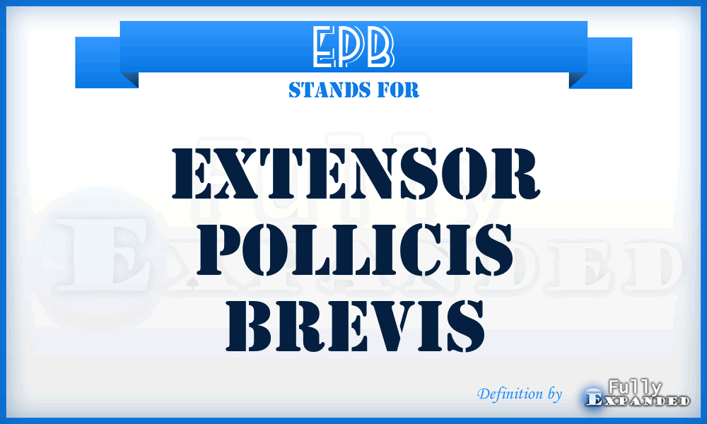 EPB - extensor pollicis brevis