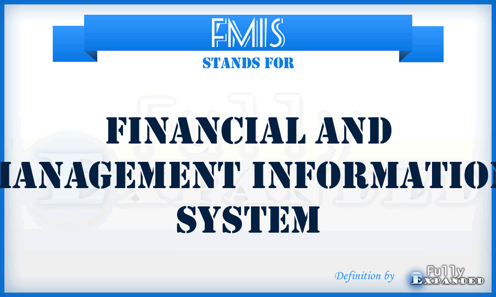 FMIS - Financial and Management Information System