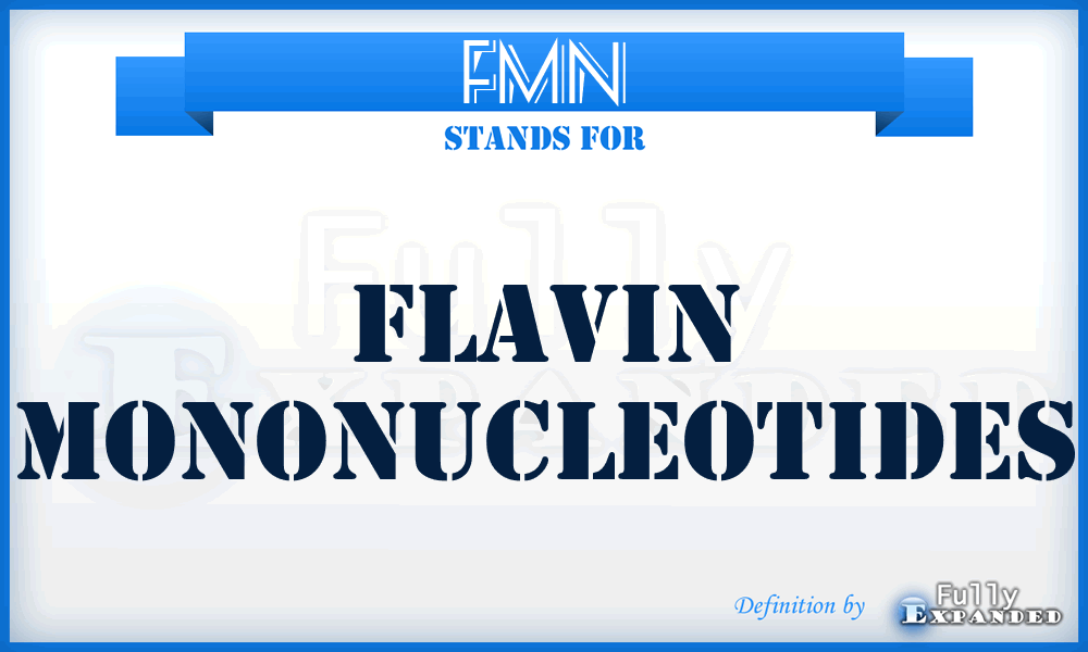 FMN - flavin mononucleotides