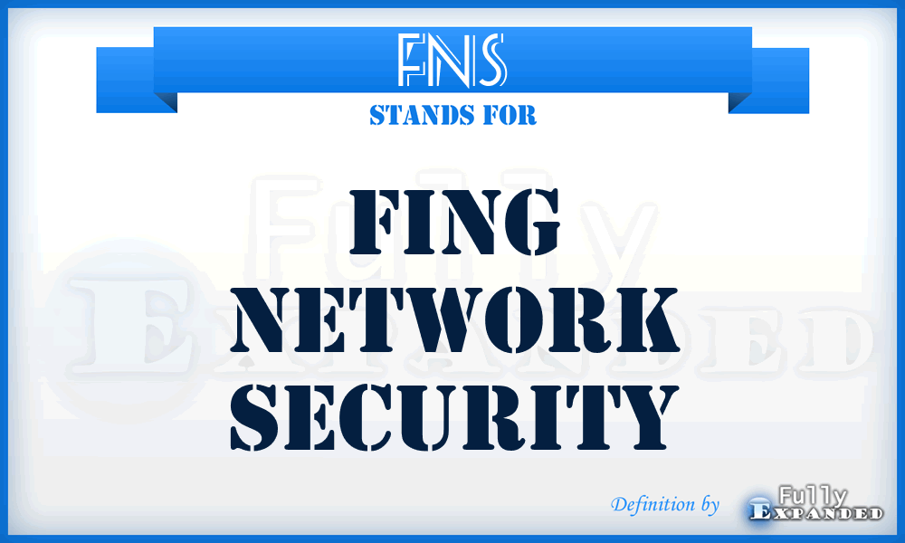 FNS - Fing Network Security