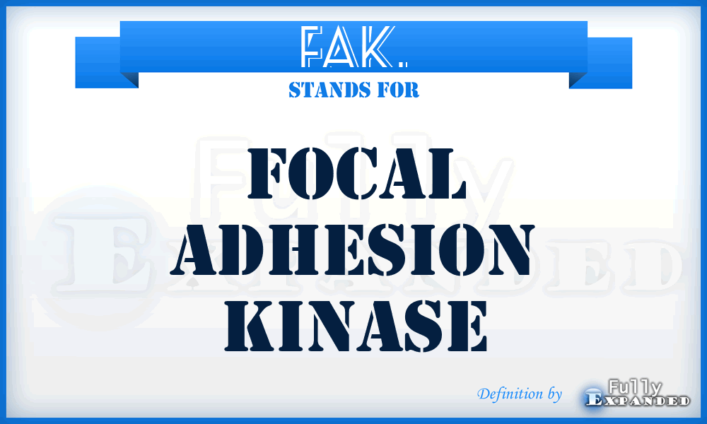 FAK. - Focal Adhesion Kinase