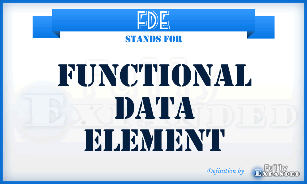 FDE - Functional Data Element