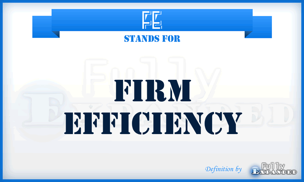 FE - Firm Efficiency