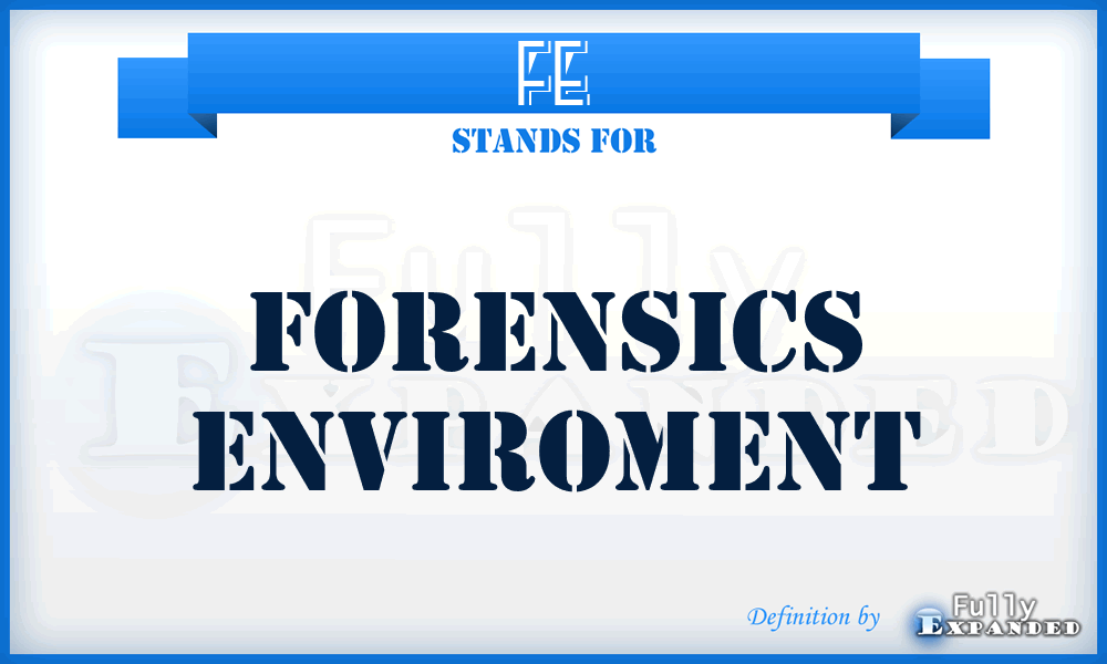 FE - Forensics Enviroment