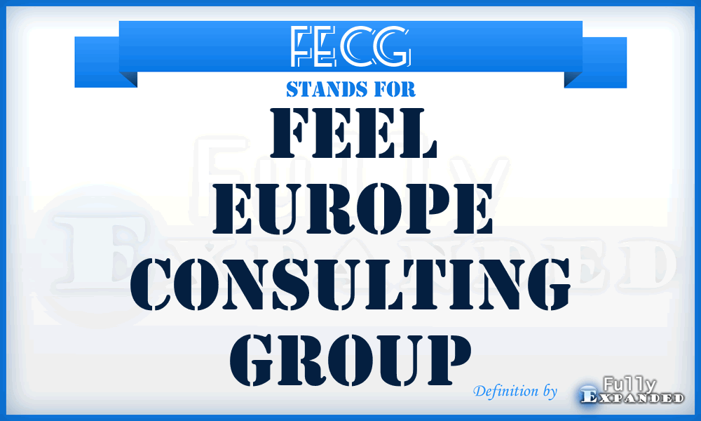 FECG - Feel Europe Consulting Group