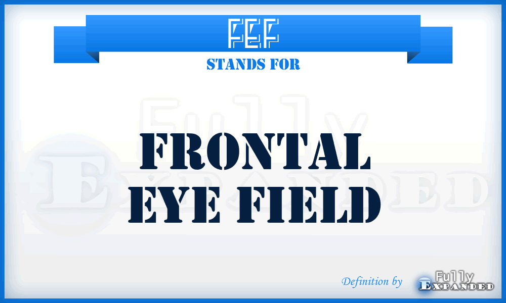 FEF - Frontal Eye Field