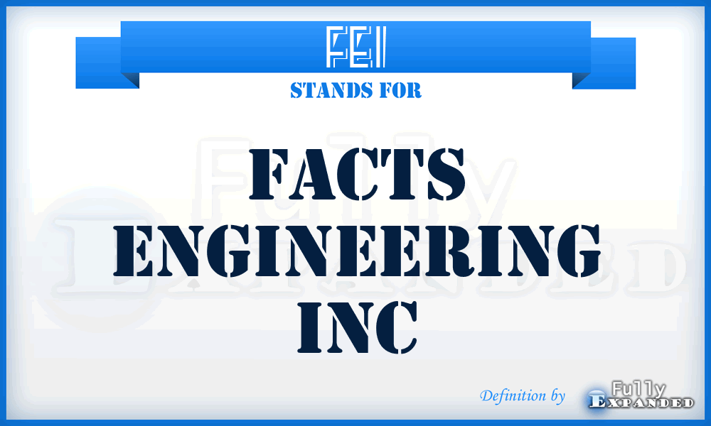 FEI - Facts Engineering Inc