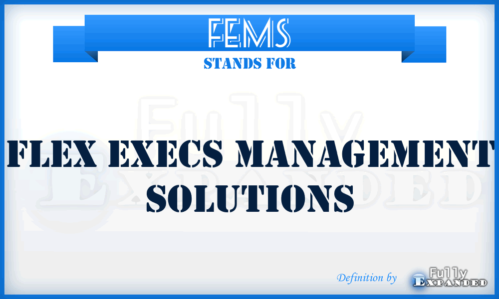 FEMS - Flex Execs Management Solutions
