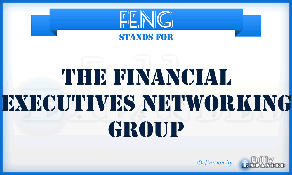 FENG - The Financial Executives Networking Group