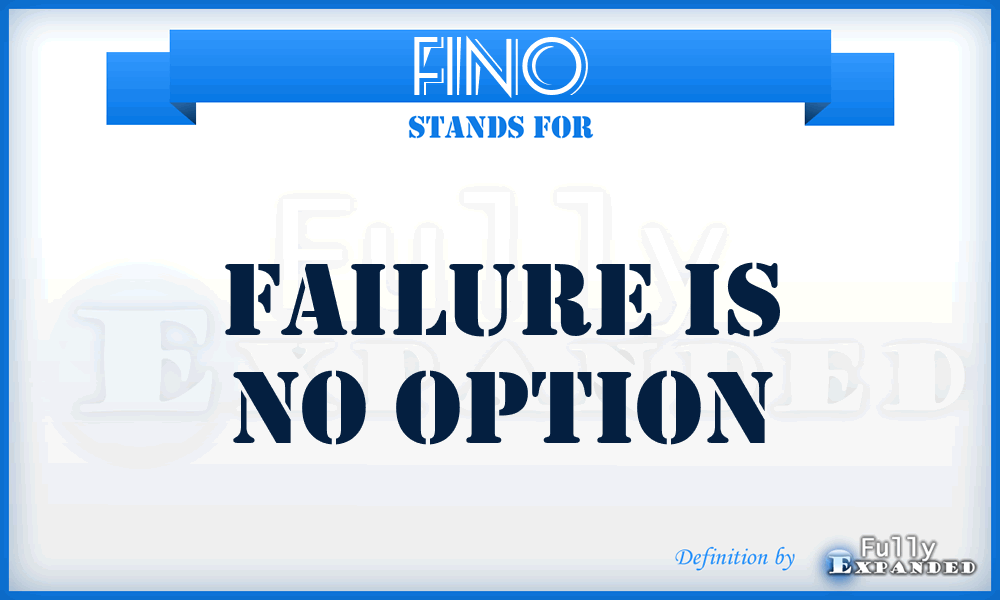 FINO - FAILURE IS NO OPTION