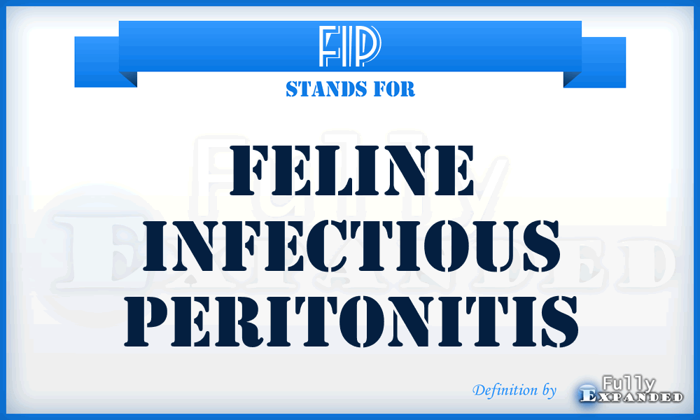 FIP - Feline Infectious Peritonitis