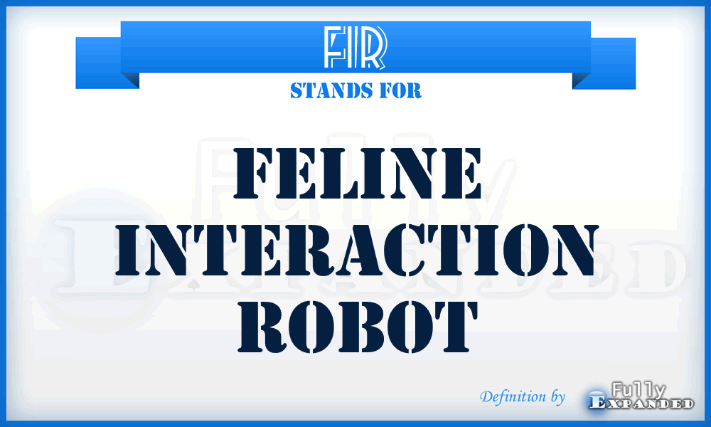 FIR - Feline Interaction Robot