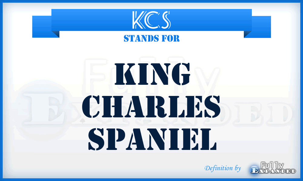 KCS - King Charles Spaniel