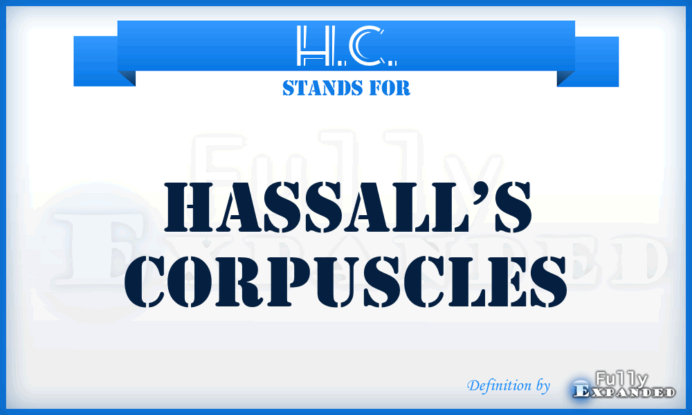 H.C. - Hassall’s corpuscles