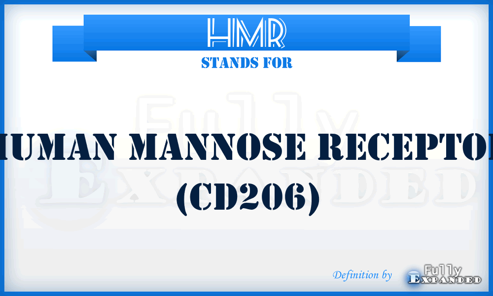 HMR - human mannose receptor (CD206)