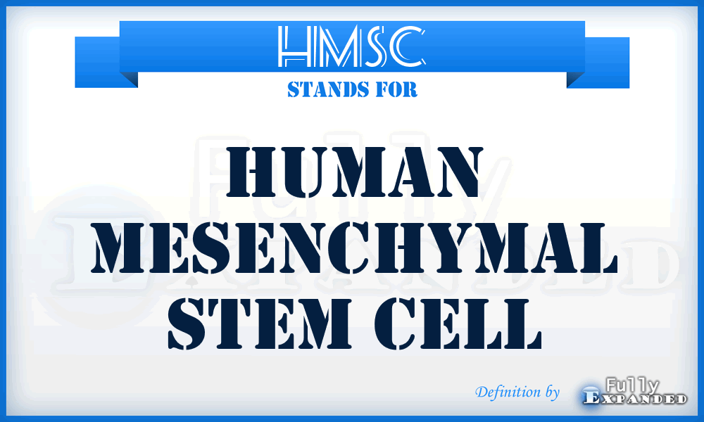 HMSC - human mesenchymal stem cell