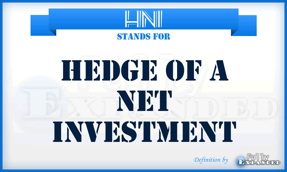 HNI - Hedge of a Net Investment