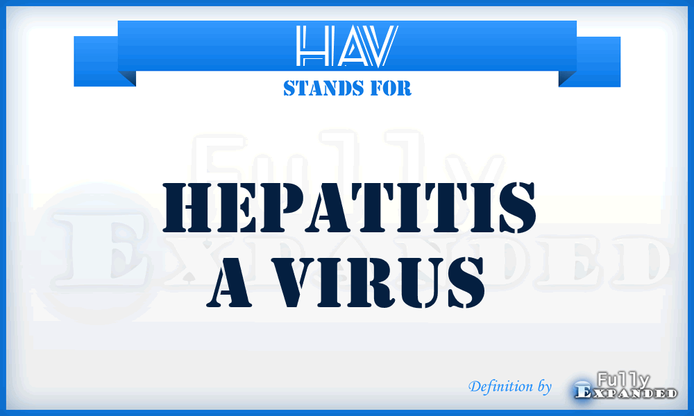 HAV - Hepatitis A virus