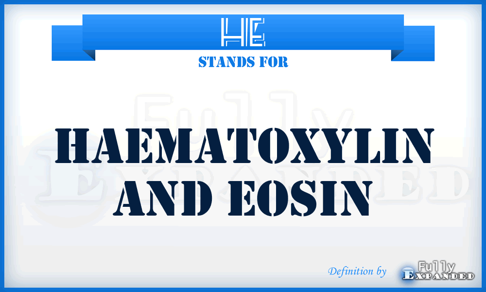 HE - haematoxylin and eosin