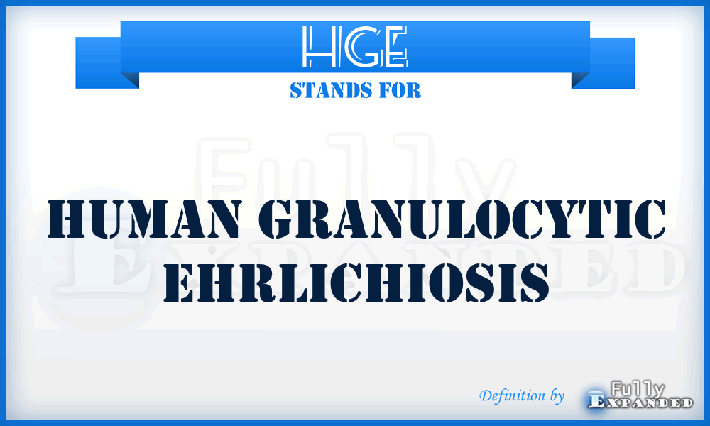 HGE - Human Granulocytic Ehrlichiosis