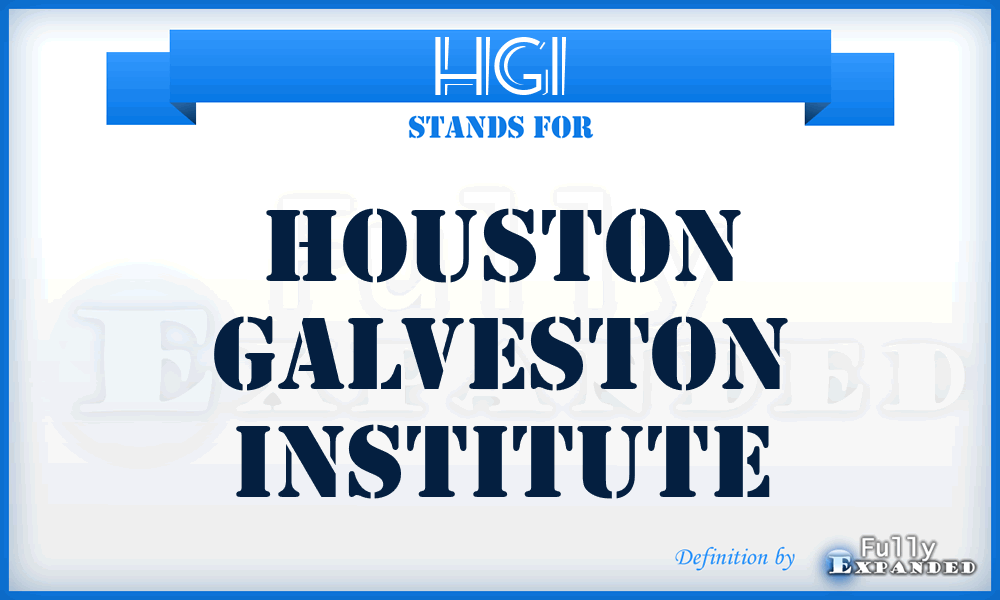HGI - Houston Galveston Institute