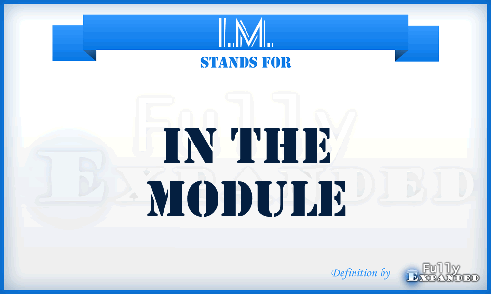 I.M. - In The Module
