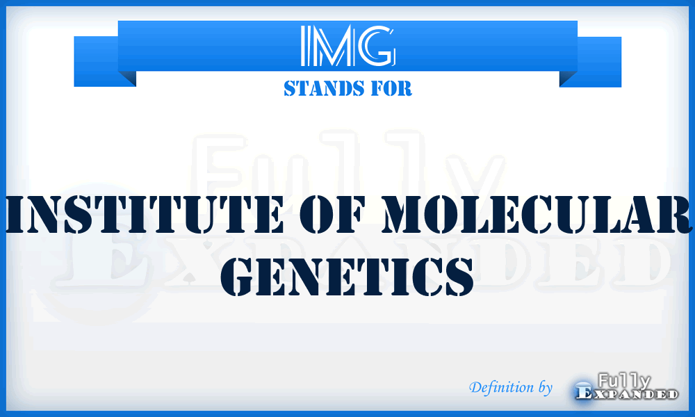 IMG - Institute of Molecular Genetics