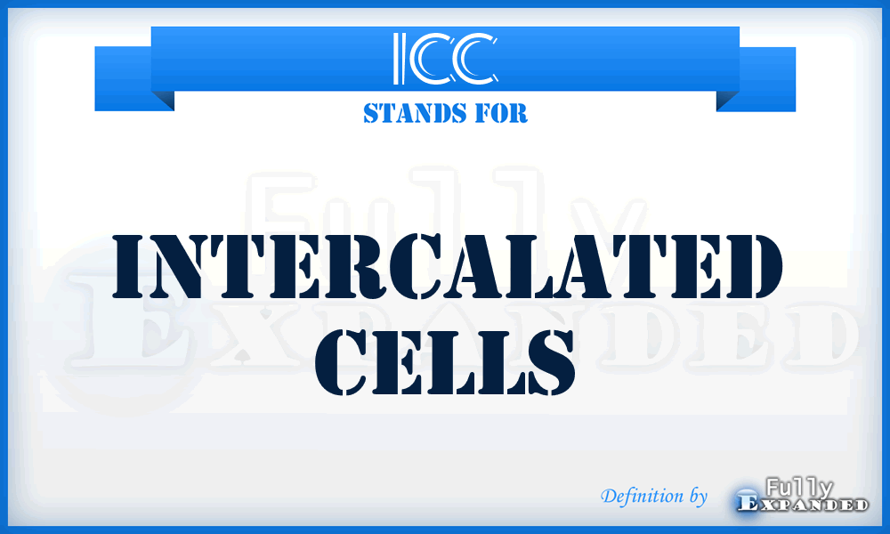 ICC - intercalated cells