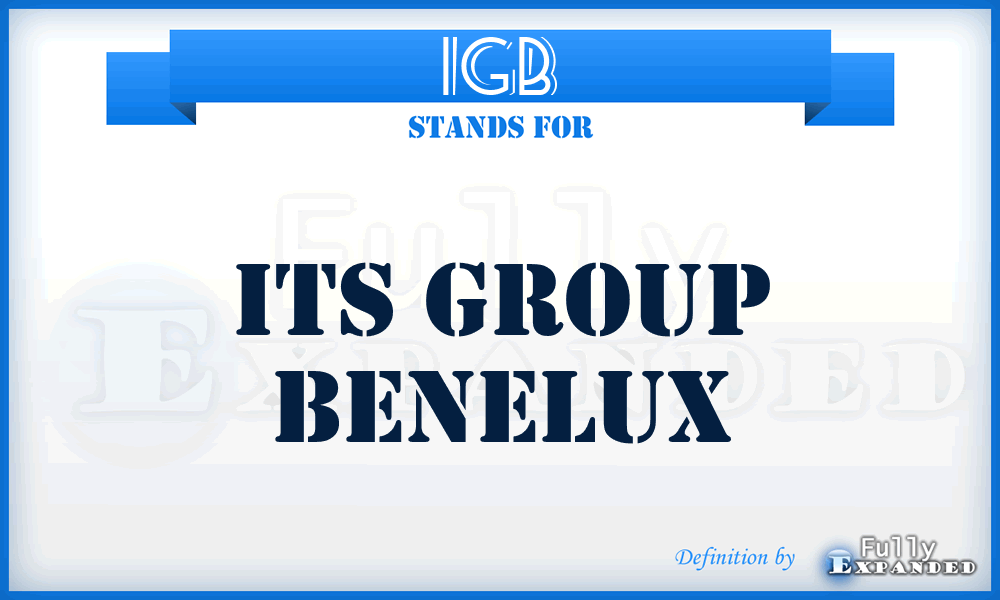 IGB - Its Group Benelux