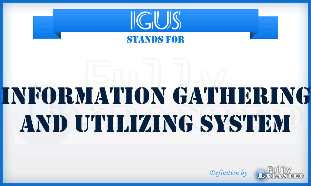 IGUS - Information Gathering And Utilizing System