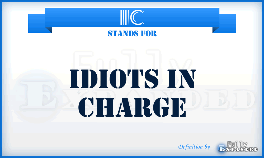 IIC - Idiots In Charge