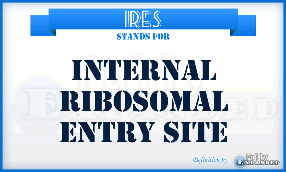 IRES - Internal Ribosomal Entry Site