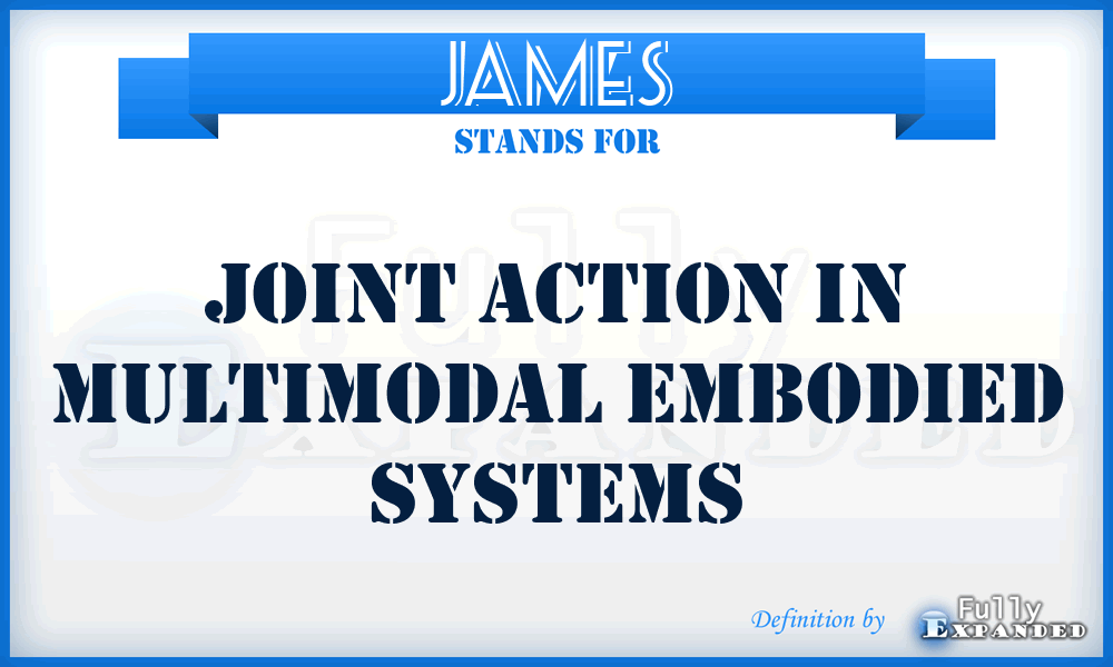 JAMES - Joint Action in Multimodal Embodied Systems
