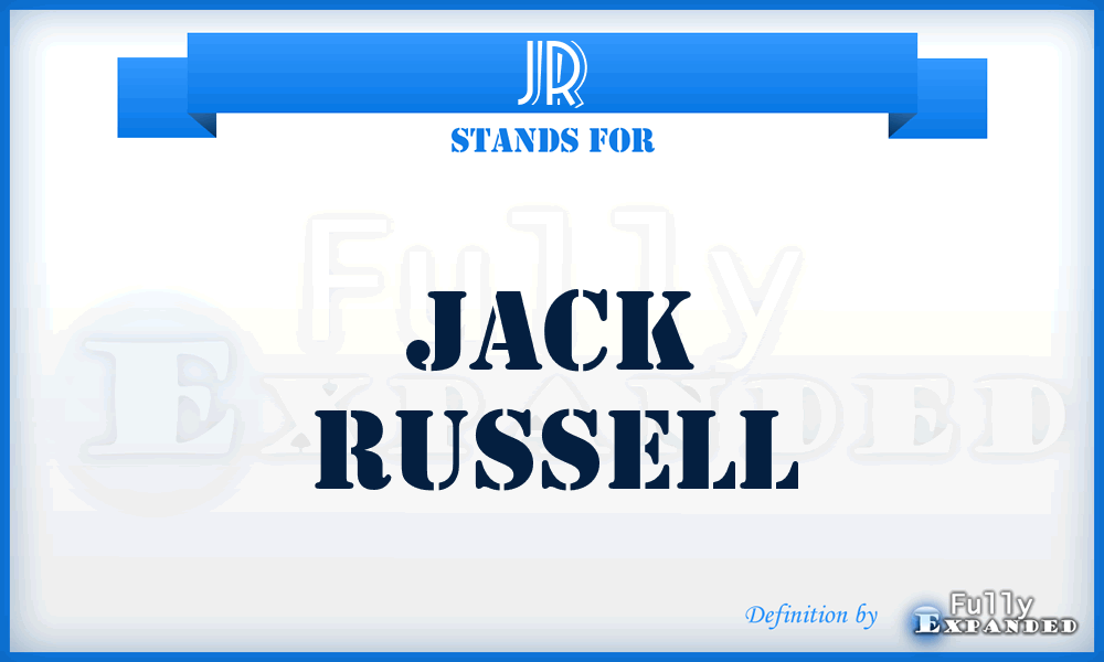 JR - Jack Russell