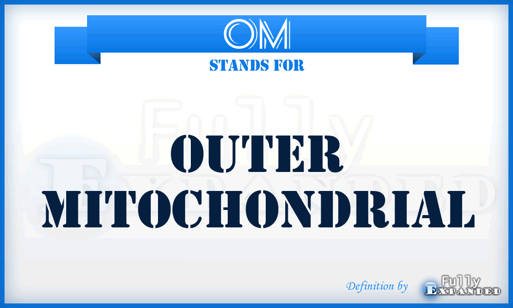 OM - Outer Mitochondrial