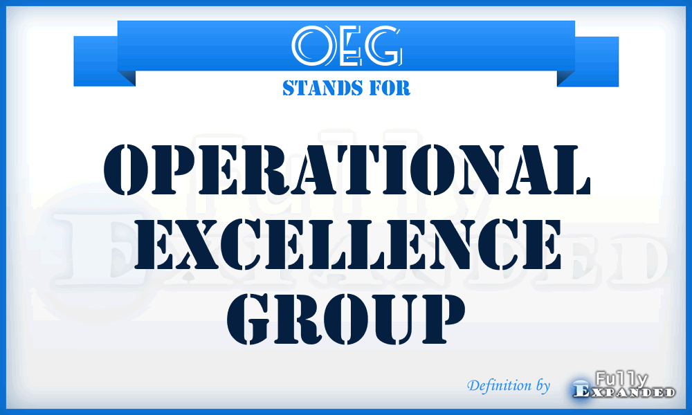 OEG - Operational Excellence Group