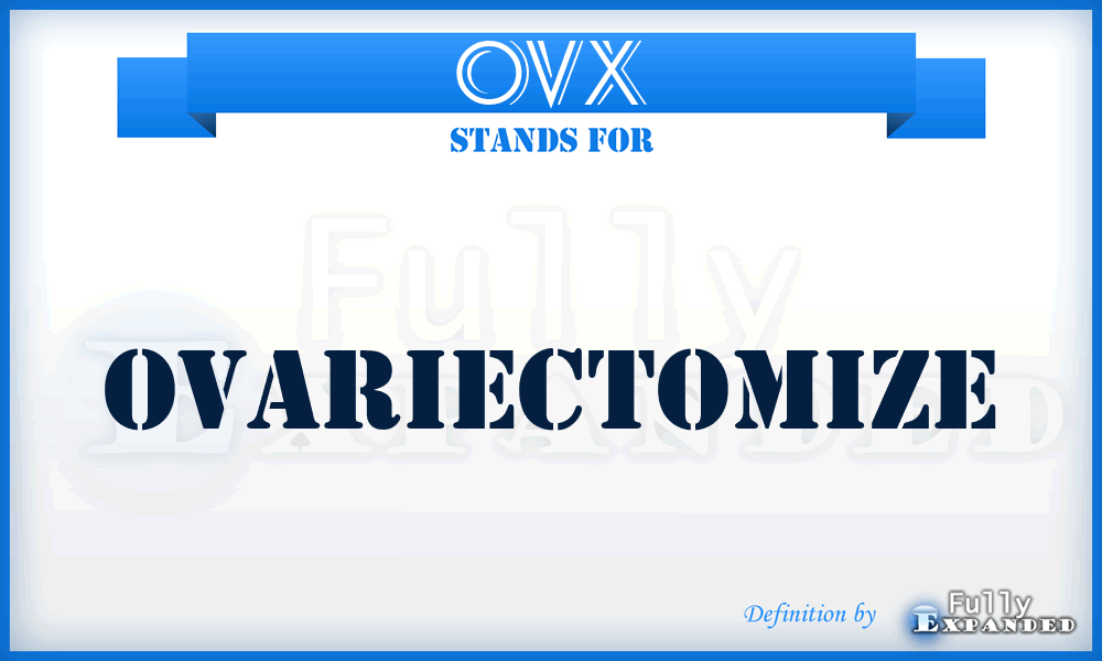 OVX - OVariectomize