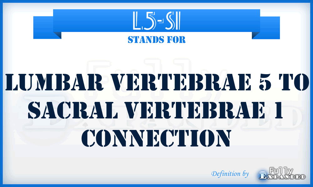 L5-S1 - Lumbar Vertebrae 5 to Sacral Vertebrae 1 connection
