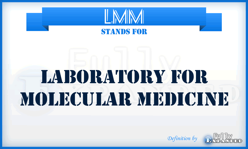 LMM - Laboratory for Molecular Medicine